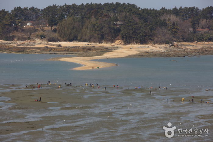 하 섬(변산반도)